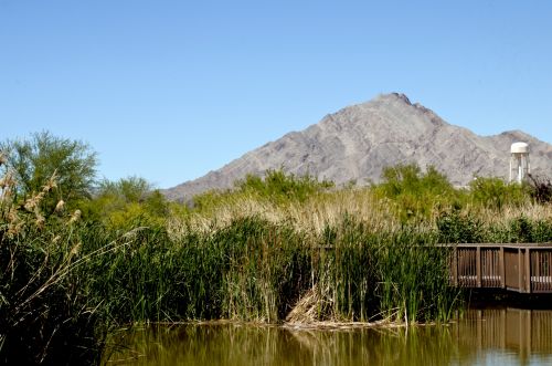 Wetlands And Mountains