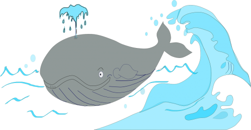 whale pot whale sperm whale