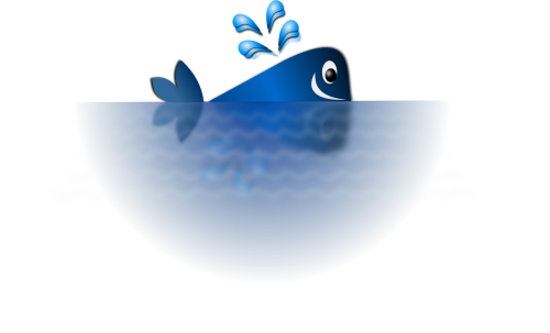 whale blue happy