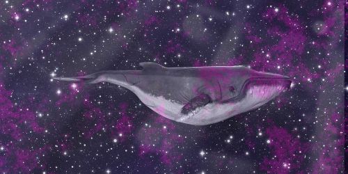 whale space science fiction