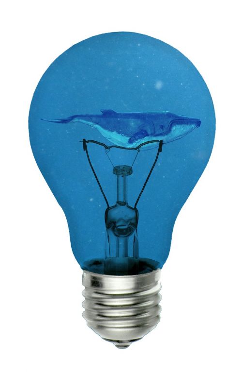 whale bulb environmental