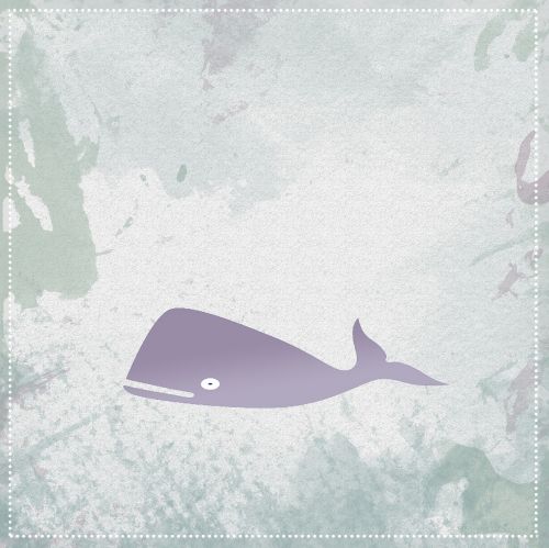 whale free image wallpaper