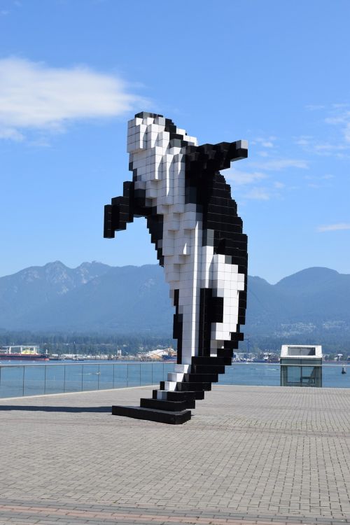 whale vancouver mountains