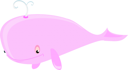whale pink sea