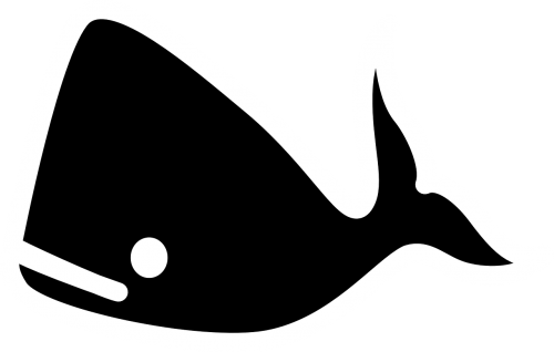 whale fish animal