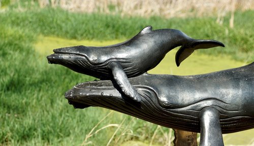 whale  statue  bronze