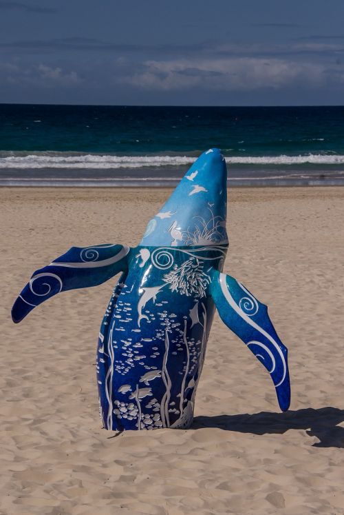whale model blue