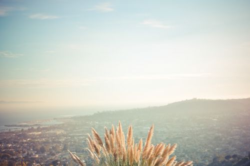 wheat landscape mountains