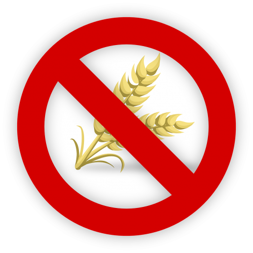 wheat gluten allergy