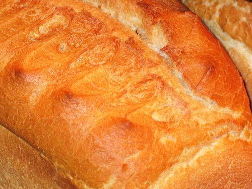 wheat bread bread food