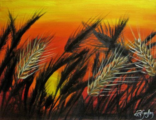 Wheat Ears Against  Sunset