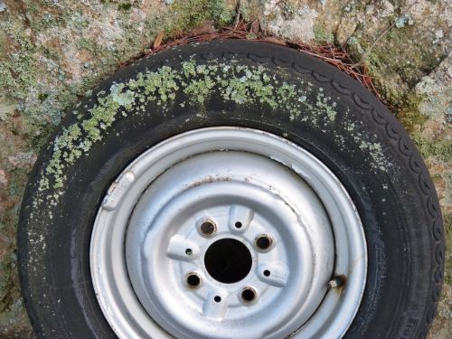 wheel lichen moss