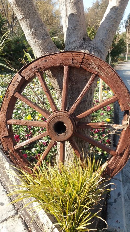 wheel decor landscape