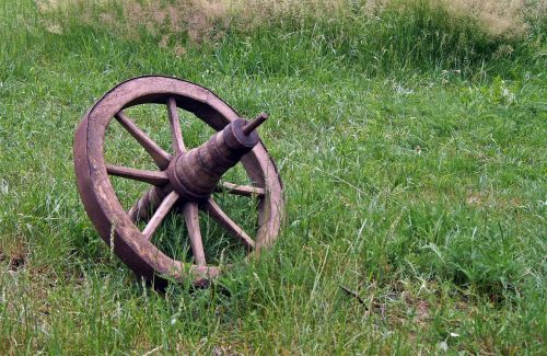 wheel meadow wood