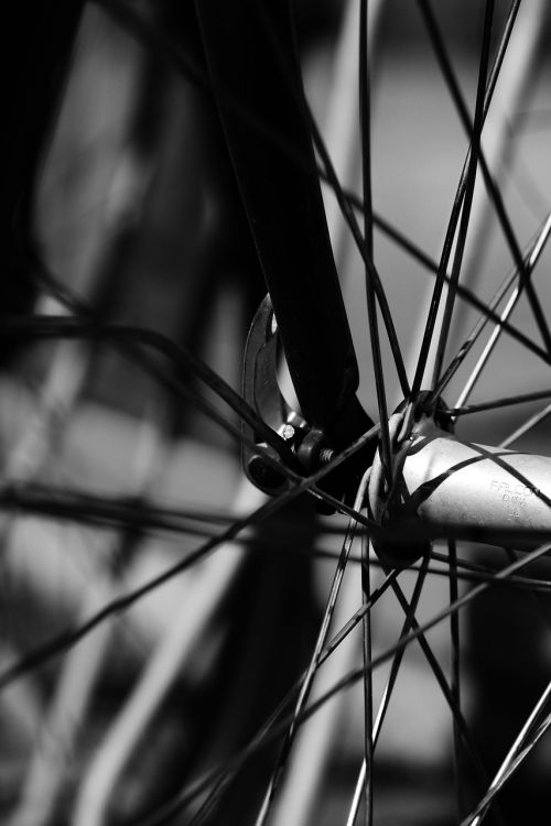 wheel bicycle cycle