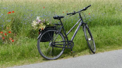 wheel bike more