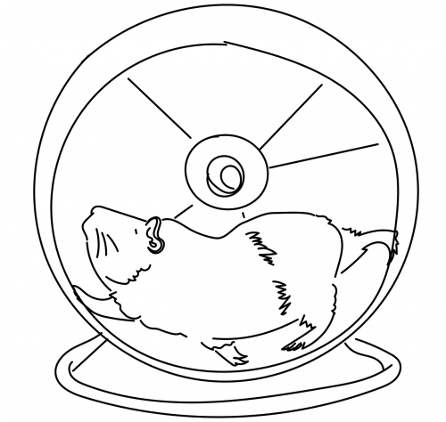 wheel pet guinea pig