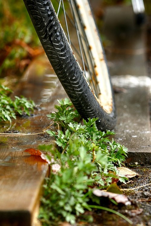 wheel  bike  outdoors