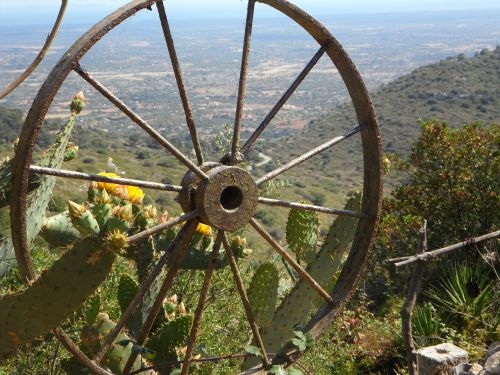 wheel spokes wagon wheel