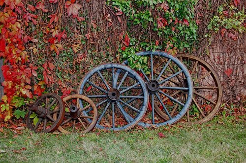 wheel  wooden wheel  autumn