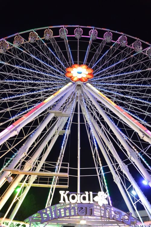 wheel amusement park ferris wheel