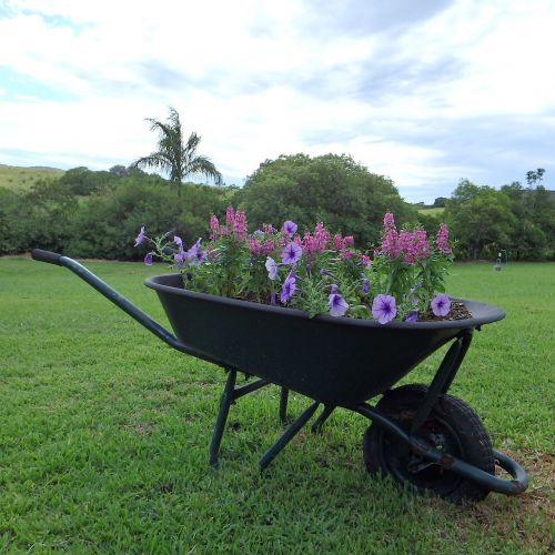 wheel barrow old