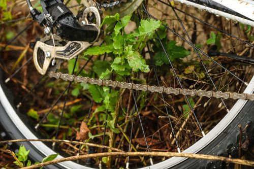 wheel bicycle bike growth