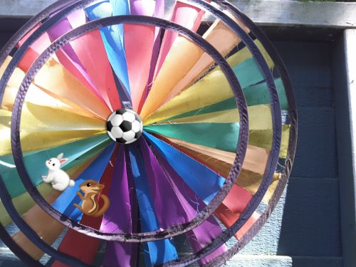 Wheel Of Joy