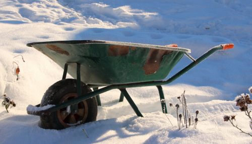 wheelbarrow old rusty