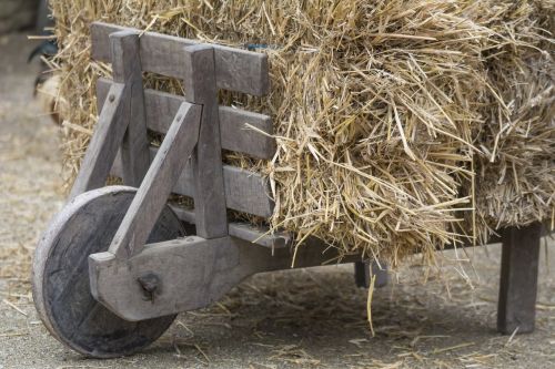wheelbarrow hay antique