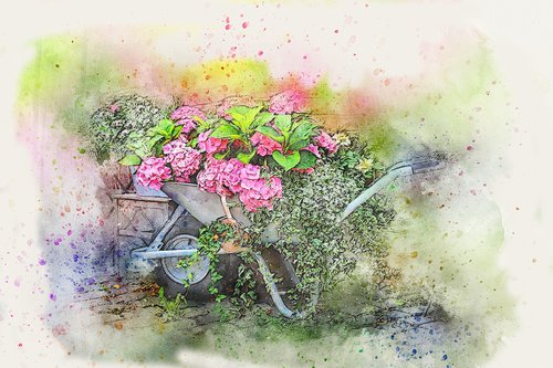 wheelbarrow  flowers  art