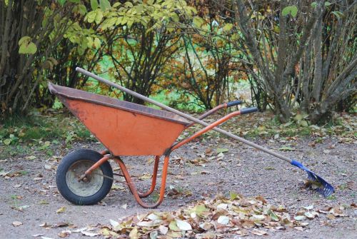 wheelbarrow autumn rake