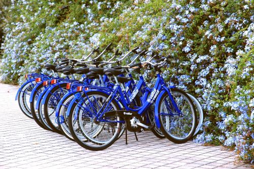 wheels bicycles blue