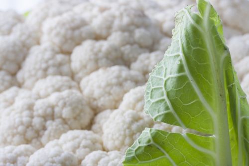 white cauliflower vegetable