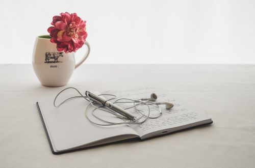 white earbuds journal