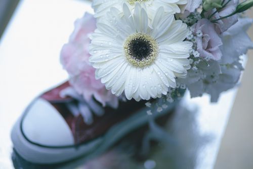 white petal flowers