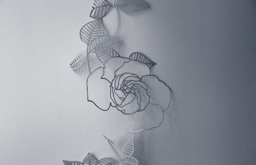 white wall flower