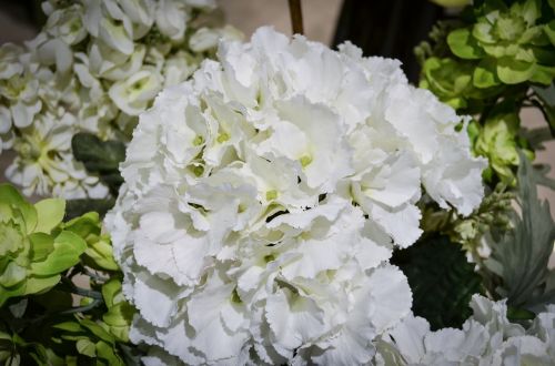 white flowers bouquet