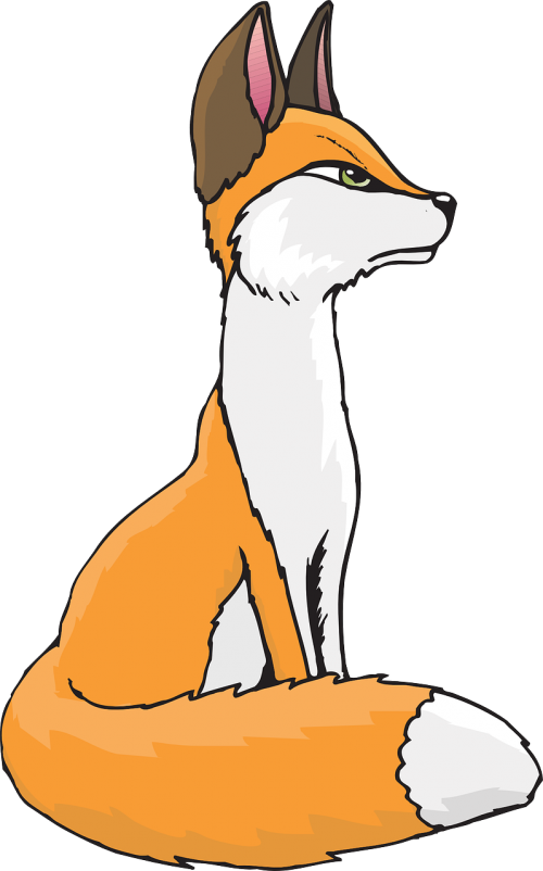 white orange fox