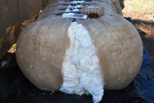 white cotton bale of cotton