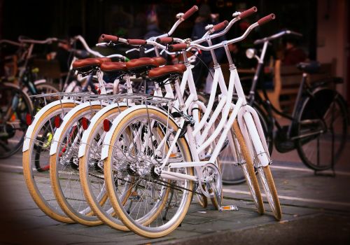 white bicycle beyazbisiklet