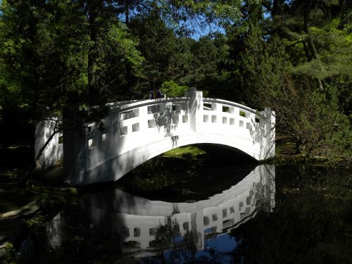 white water bridge