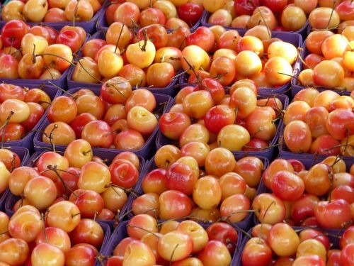 white cherries fruit