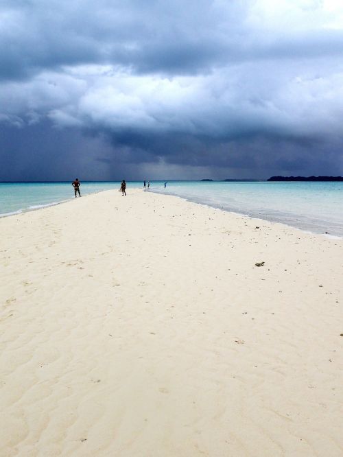 white beach plank marine