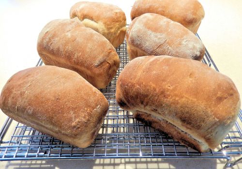 white bread mini loafs food