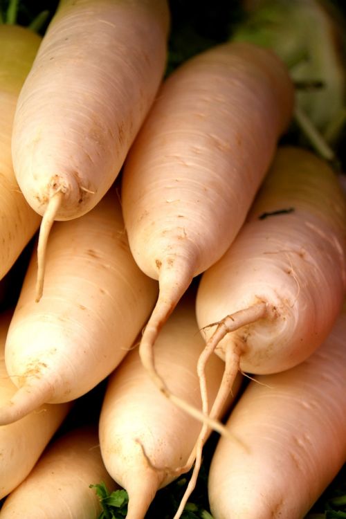 white carrots vegetable greens