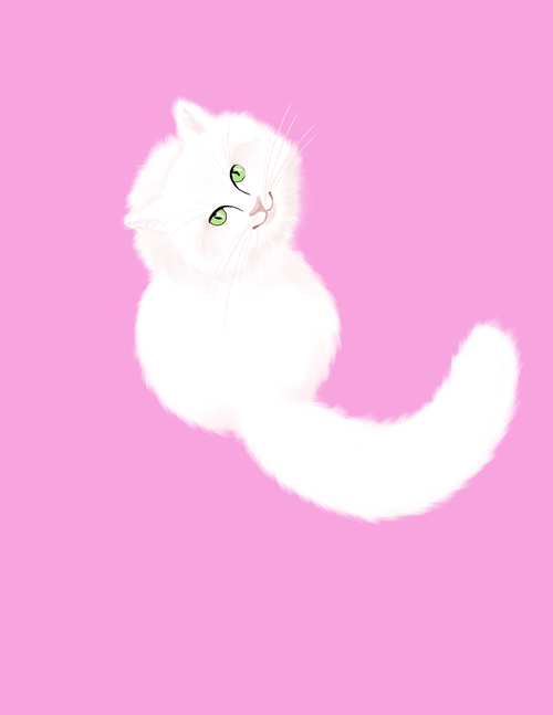 white cat  cat illustration  cat