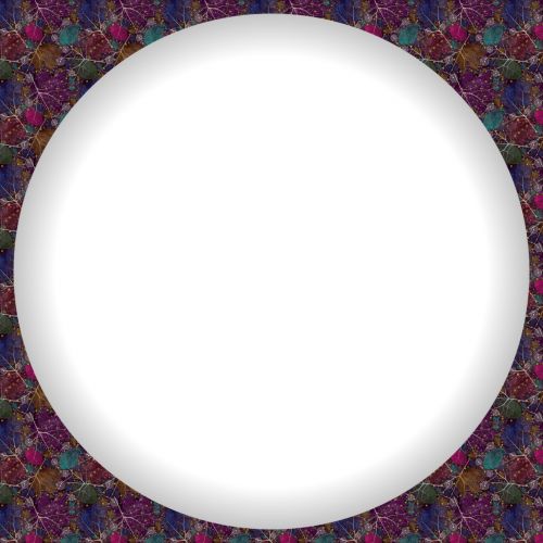 White Circle Frame