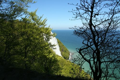 white cliffs rügen painting