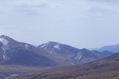 white cloud prairie qinghai